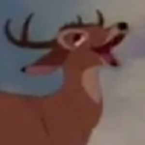 Meet your Posher, Chunky